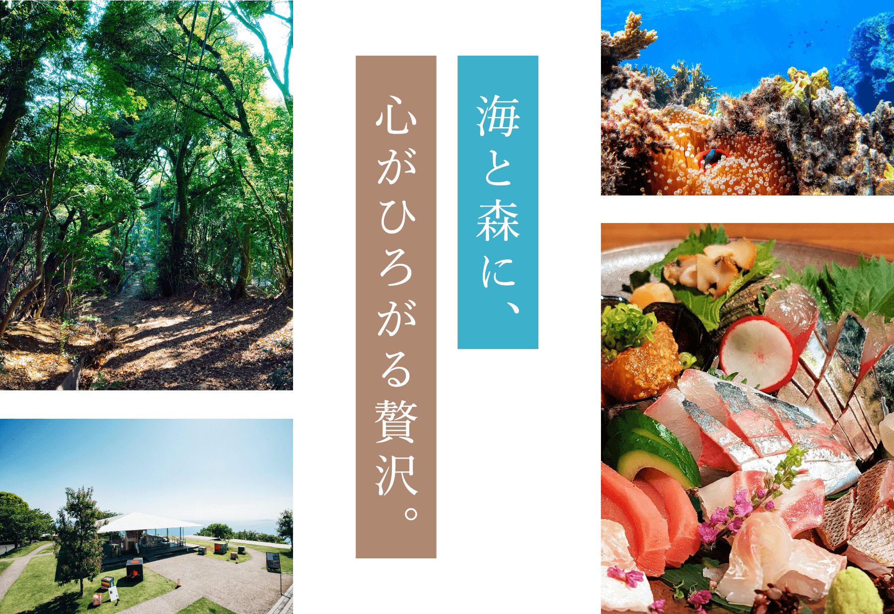 網代のリゾートイメージ写真