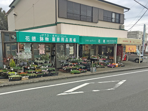 伊豆高原 ラーメン木八 へ行ってきました エンゼル不動産ブログ