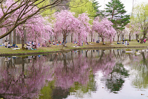 湯沢中央公園