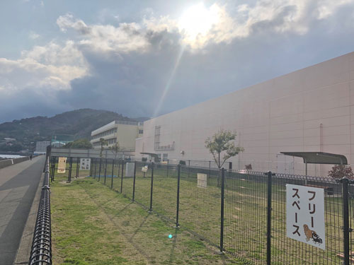 湯河原海浜公園 ドッグラン エンゼル不動産ブログ