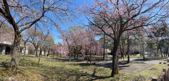 湯沢中央公園