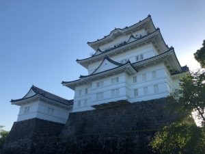 春の小田原城 エンゼル不動産ブログ 春の小田原城 エンゼル不動産ブログ