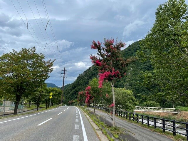 花水木通り