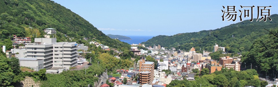 株式会社ひまわり湯河原店のマンション・別荘・一戸建て・土地情報