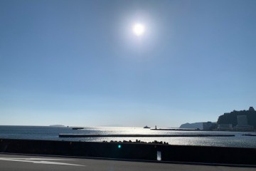 快晴！暖かいです。<br />
風があり、落ち葉が舞ってます。