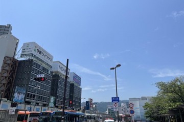 晴れ　少し風があります。