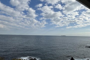 晴れ 日差しが暖かいです。