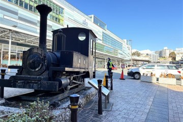 風が強いですが、日差しは暖かいです。