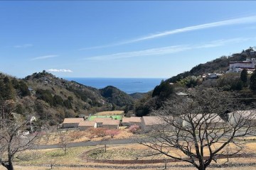 風が強いですが良い天気です。