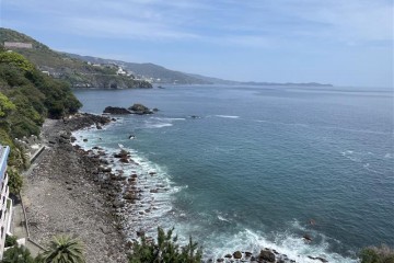 晴れ　暖かいです。