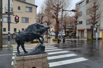 雨<br />
一日中雨の予報です。