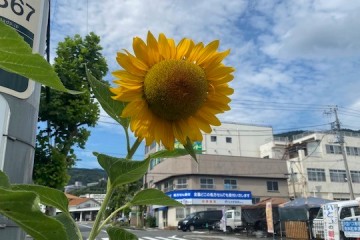 晴れ<br />
水分を持ち歩きましょう