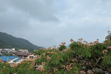 雨<br />
雷注意報発令中