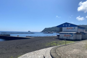 晴れ<br />
カンカン照りです。