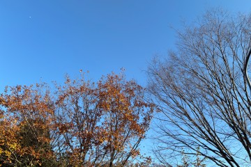 晴れ<br />
風が強いです<br />
飛来物にはお気をつけください