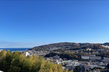 晴れ<br />
気持ちの良い天気ですね<br />
お散歩日和です