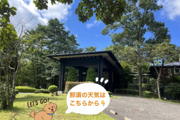 (^^)/