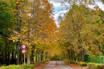 那須のお天気はこちら ↓(*'ω'*)