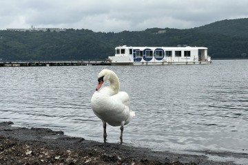 本日は曇りのち雨予報です。気温20度