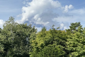 本日の予報は晴れ、30℃です。