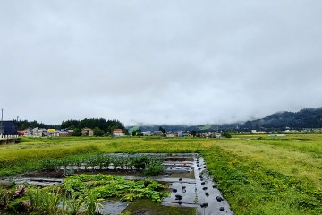 今日の湯沢町<br />
【天気】曇り一時雨<br />
【予想最高気温】25℃