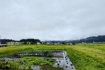 今日の湯沢町<br />
【天気】曇り一時雨<br />
【予想最高気温】25℃