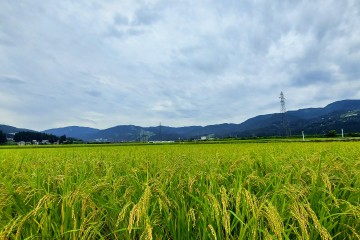 湯沢町のお天気はこちら<br />
  ↓　