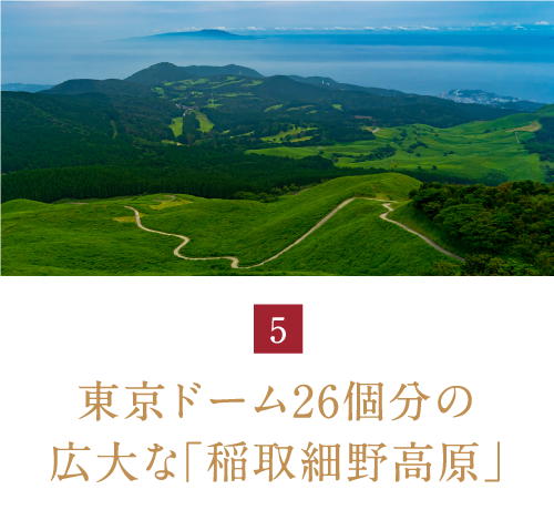 東伊豆エリアの画像5