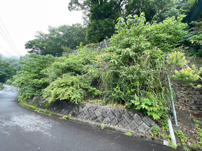 眺望画像