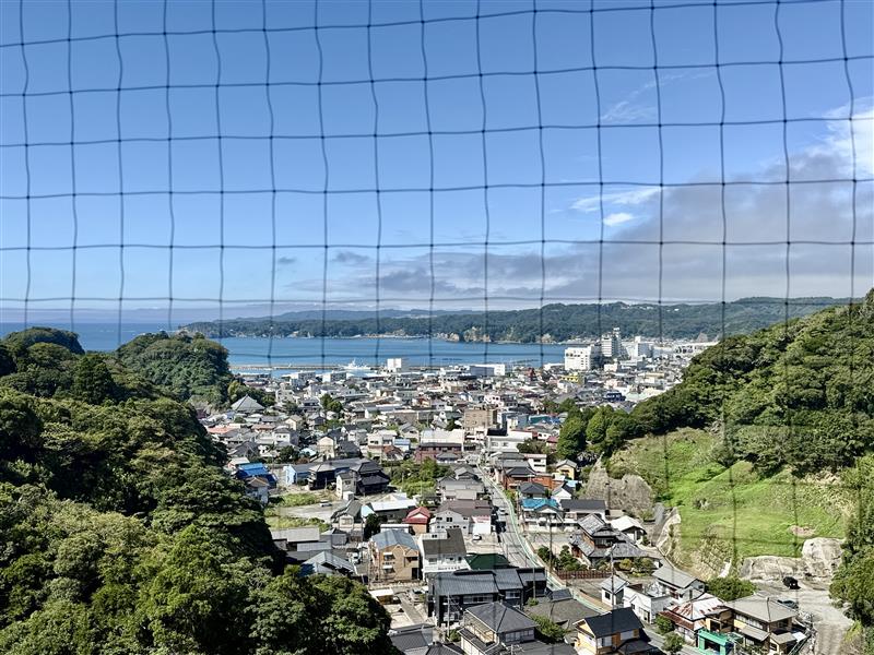 眺望画像