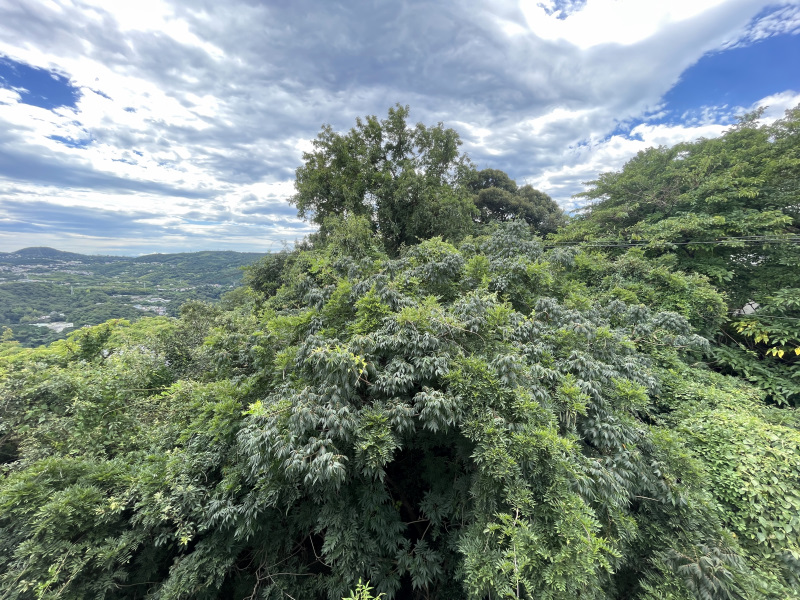 眺望画像