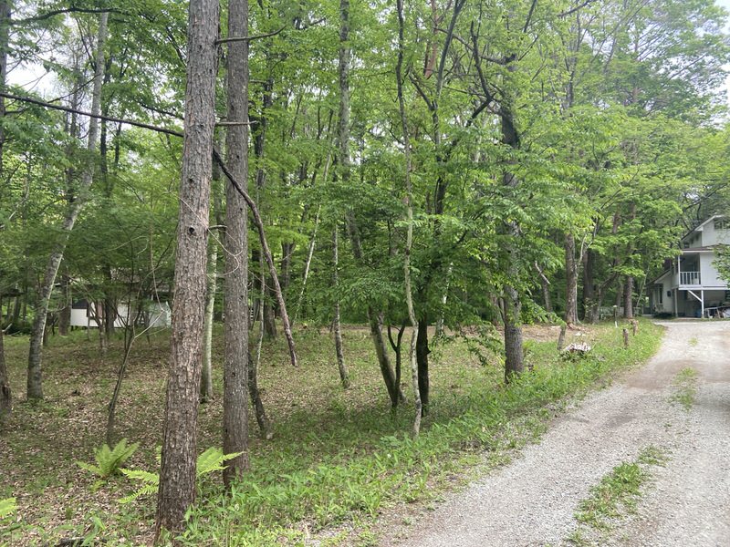 【中軽井沢】軽井沢町役場北 鶴溜