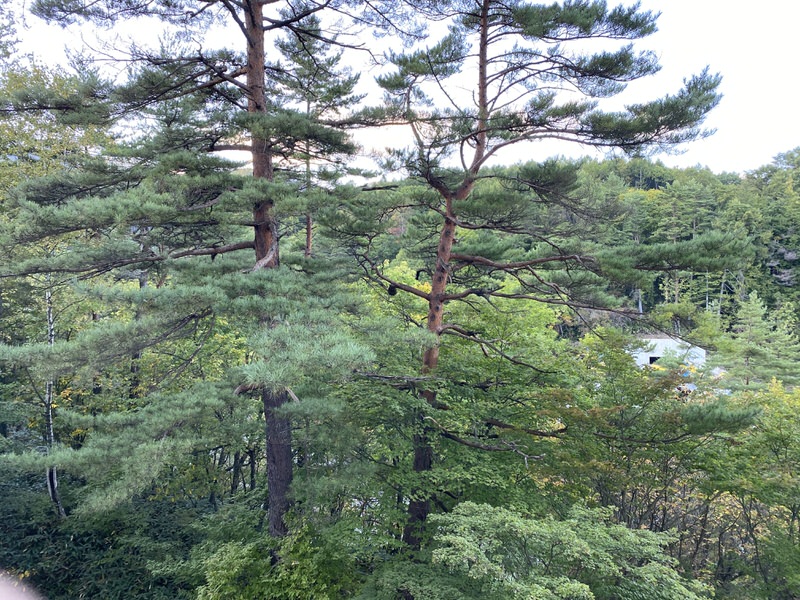 眺望画像