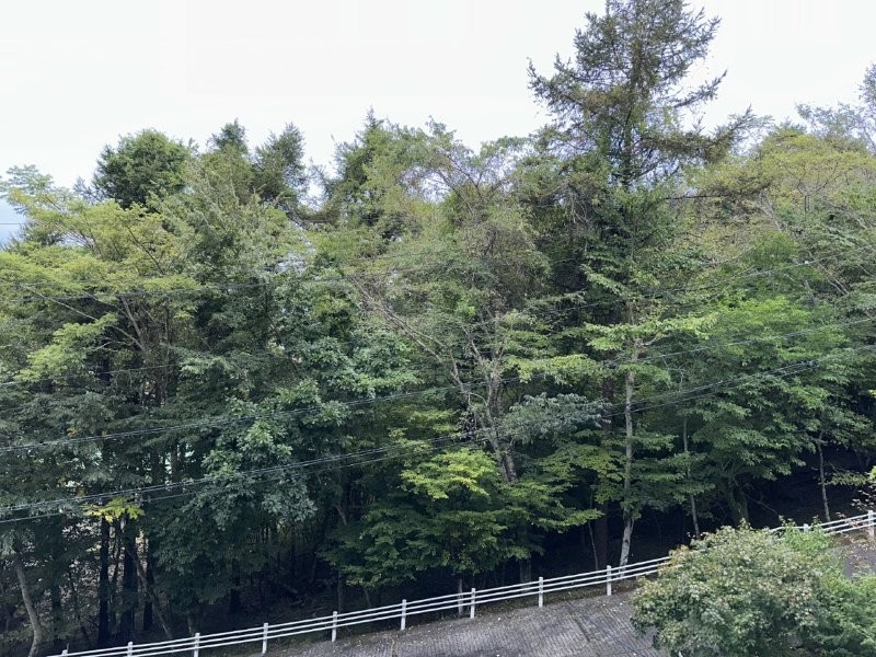 眺望画像