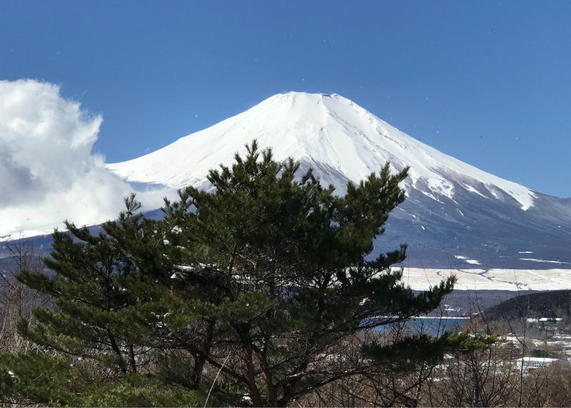 眺望画像