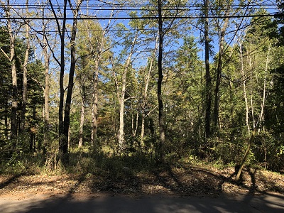 【河口湖】丸紅富士桜別荘地