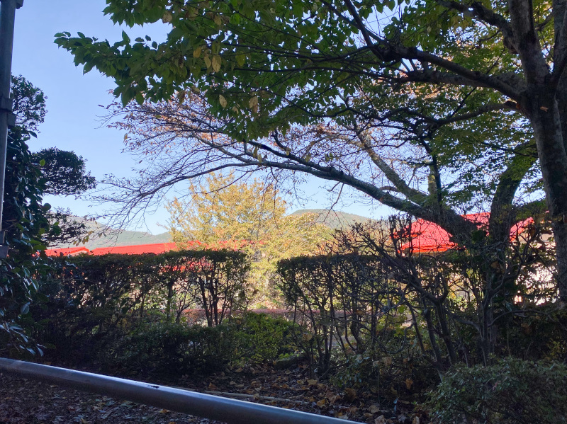 apartment 二ノ平字新林1274-94他