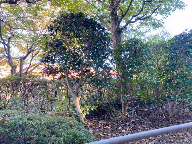 apartment 二ノ平字新林1274-94他