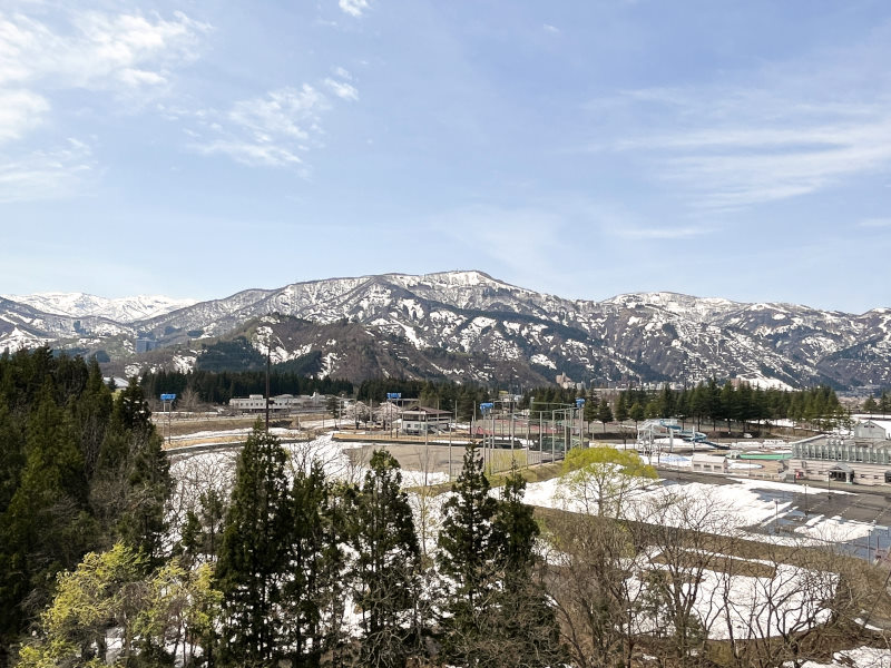 ロイヤルプラザ湯沢の中古リゾートマンション 詳細情報