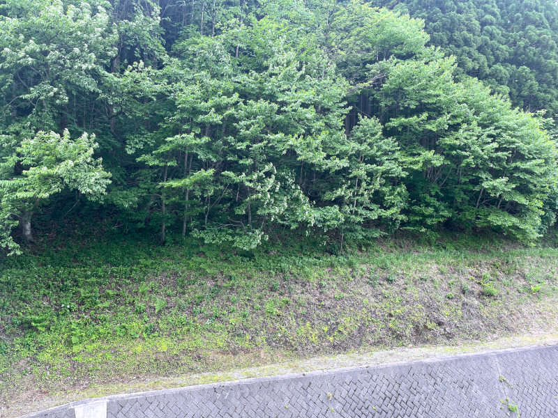 眺望画像
