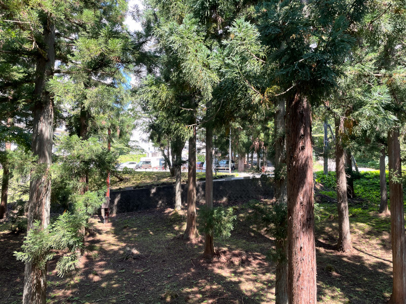 眺望画像