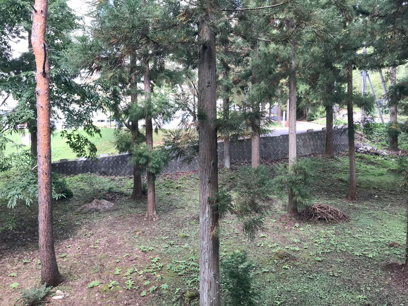眺望画像